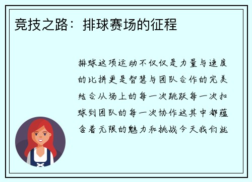 竞技之路：排球赛场的征程