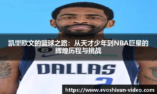 EVO视讯官网平台